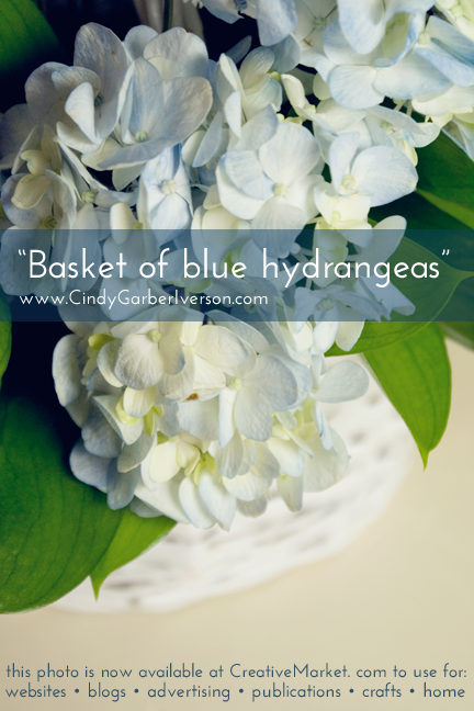 Basket of blue hydrangeas