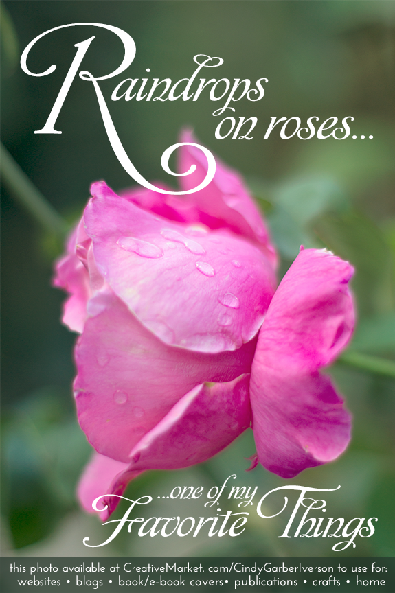 Photo of raindrops on a rose